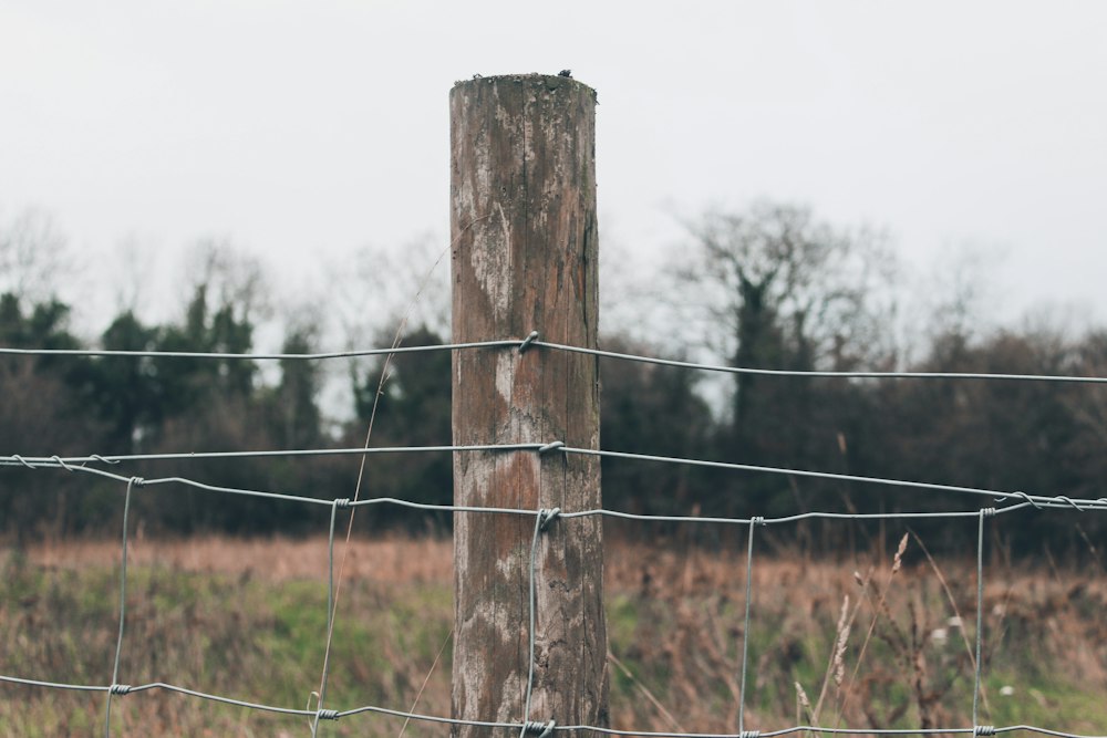 Cerco de postes de madera y alambre en una parcela